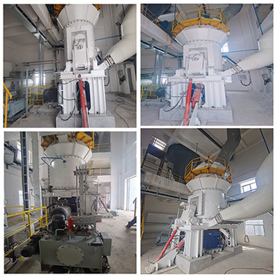 Mulino stridente del rullo verticale in centrale elettrica termica